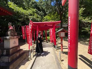 稲荷神社(宮地嶽神社・奥の宮)の参拝記録(いけさん)