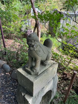 琴平神社（菊田神社摂社）の参拝記録(⛩️🎠🐢まめ🐢🎠⛩️さん)
