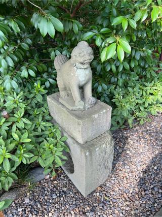 琴平神社（菊田神社摂社）の参拝記録(⛩️🎠🐢まめ🐢🎠⛩️さん)