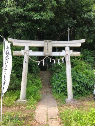 大麻止乃豆乃天神社の参拝記録(こーちんさん)