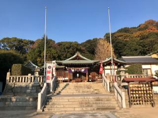 鶴羽根神社の参拝記録(じゃすてぃさん)