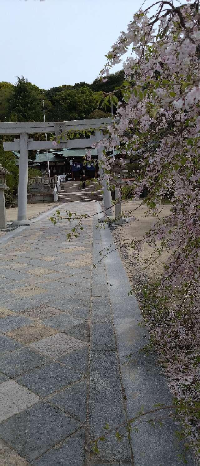 鶴羽根神社の参拝記録9