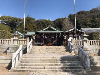 鶴羽根神社の参拝記録(シルキー6さん)