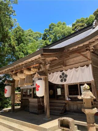 菅原天満宮の参拝記録(猫屋敷さん)