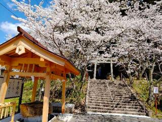 菅原天満宮の参拝記録(hachiさん)
