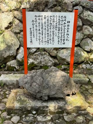 護皇神社（宇佐神宮）の参拝記録(こーちんさん)