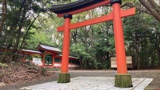 大尾神社（宇佐神宮摂社）の参拝記録(すったもんださん)