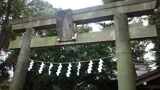 虎狛神社の参拝記録(miyumikoさん)