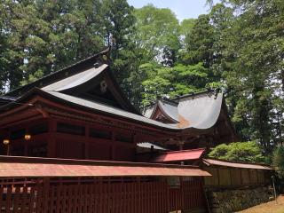 八槻都々古別神社の参拝記録(金猿さん)