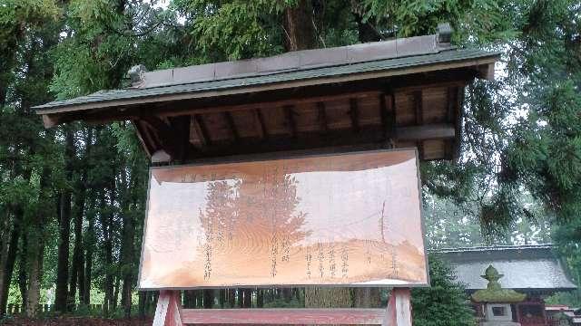 福島県東白川郡棚倉町八槻大宮２２４ 八槻都々古別神社の写真19