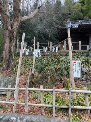 氷川神社(高尾山麓氷川神社)の参拝記録(⛩️🐍🐢まめ🐢🐍⛩️さん)