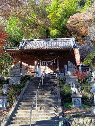 氷川神社(高尾山麓氷川神社)の参拝記録(壱師の花さん)