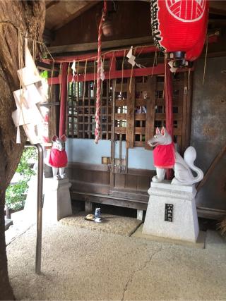 白玉稲荷神社の参拝記録(こーちんさん)