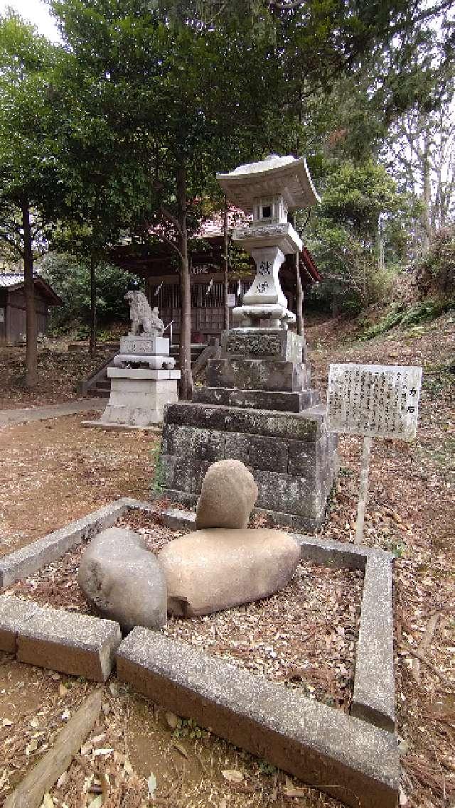 東京都東大和市蔵敷1-419 熊野神社（蔵敷熊野神社）の写真4