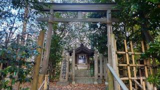 金比羅神社の参拝記録(まっちゃんさん)