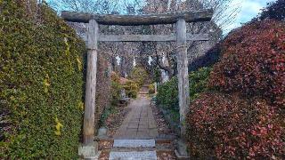 金比羅神社の参拝記録(まっちゃんさん)