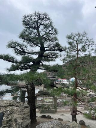 龍宮社（二見興玉神社境内社）の参拝記録(⛩️🐍🐢まめ🐢🐍⛩️さん)