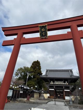 梅宮大社 山城国 下八社の参拝記録(⛩️🎠🐢まめ🐢🎠⛩️さん)