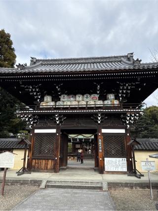 梅宮大社 山城国 下八社の参拝記録(⛩️🎠🐢まめ🐢🎠⛩️さん)