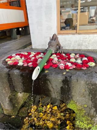 揖宿神社の参拝記録(ぺーさん)