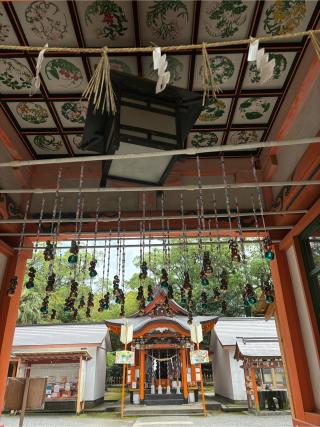 揖宿神社の参拝記録(ほちさん)