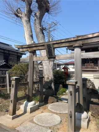 巖島神社の参拝記録(⛩️🐍🐢まめ🐢🐍⛩️さん)
