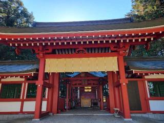 冨士御室浅間神社本宮の参拝記録(まっきーさん)