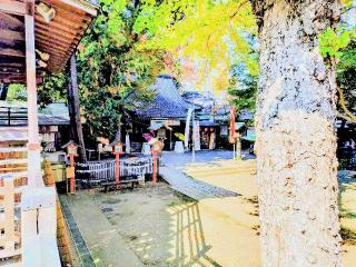 瀧轟山 明王院（等々力不動尊）の参拝記録(不動明王さん)