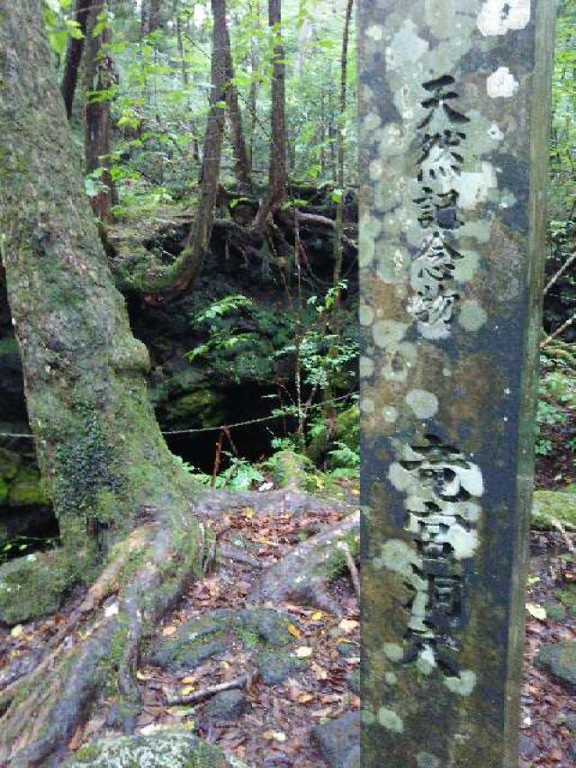 山梨県南都留郡足和田村西湖青木ヶ原2068 刹海神社(竜宮洞穴)の写真1