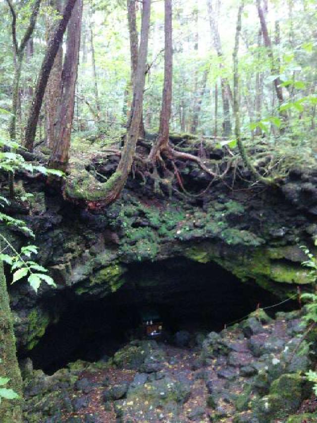 山梨県南都留郡足和田村西湖青木ヶ原2068 刹海神社(竜宮洞穴)の写真3