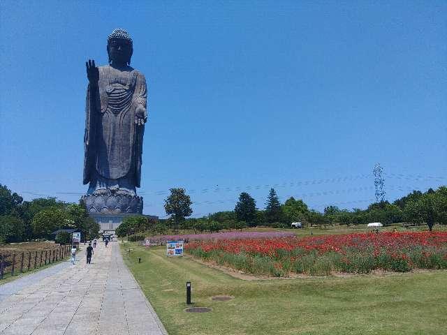 東本願寺(牛久大仏)の参拝記録10