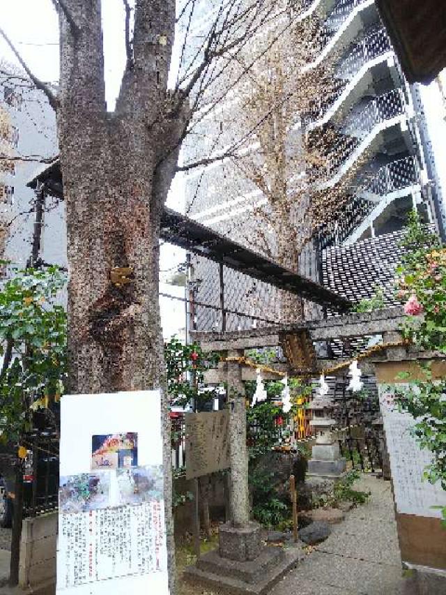 東京都新宿区歌舞伎町2-17-5 三島神社（稲荷鬼王神社 恵比寿神社）の写真12