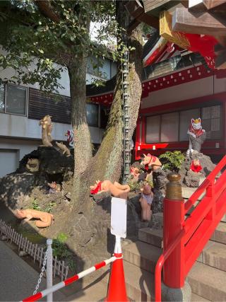 京濱伏見稲荷神社の参拝記録(⛩️🐉🐢まめ🐢🐉⛩️さん)