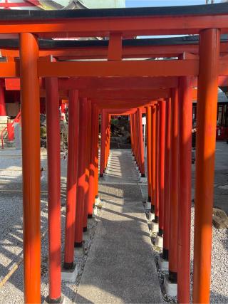 京濱伏見稲荷神社の参拝記録(⛩️🐉🐢まめ🐢🐉⛩️さん)