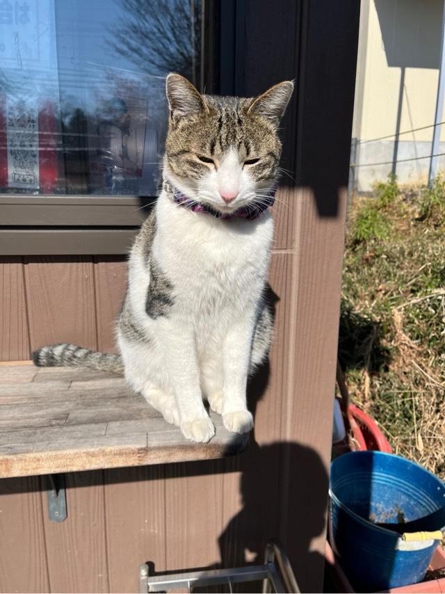 佐白山 正福寺の参拝記録8
