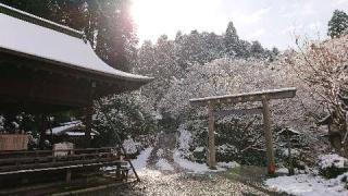 日向大神宮の参拝記録(のぶちゃんさん)