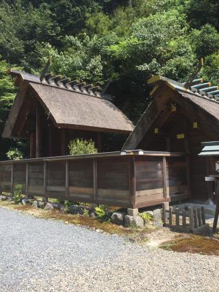 日向大神宮の参拝記録(ichinosukeさん)
