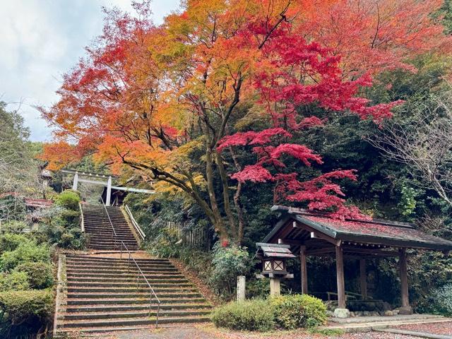 日向大神宮の参拝記録9