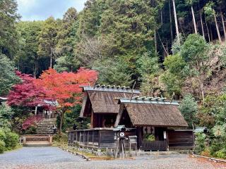 日向大神宮の参拝記録(qo_opさん)
