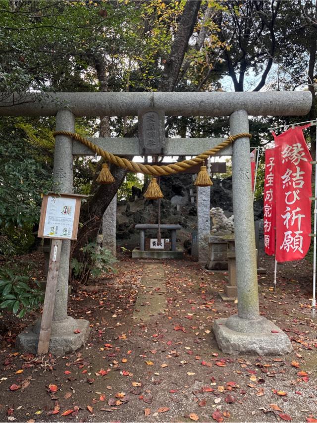 浅間神社の参拝記録2