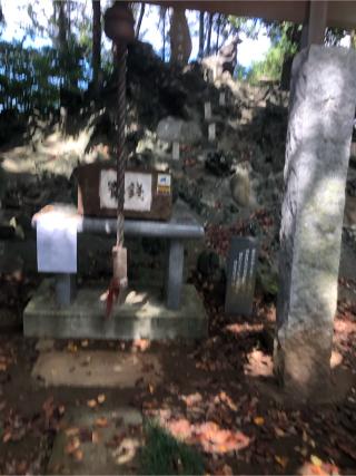 浅間神社の参拝記録(こーちんさん)