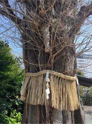 宮比神社（筑土八幡神社境内社）の参拝記録(⛩️🐍🐢まめ🐢🐍⛩️さん)