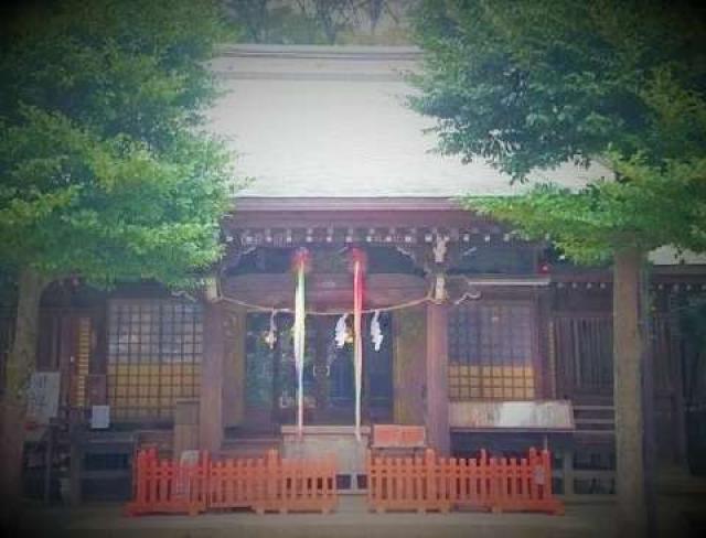 東京都練馬区高松1-16-16 高松八幡神社（若宮八幡）の写真1