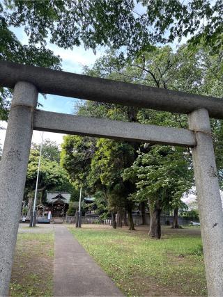 春日神社の参拝記録(⛩️🐍🐢まめ🐢🐍⛩️さん)