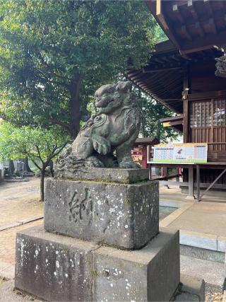 春日神社の参拝記録(⛩️🐍🐢まめ🐢🐍⛩️さん)
