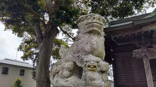 金森杉山神社の参拝記録(miyumikoさん)