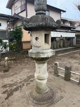 金森 杉山神社の参拝記録(⛩️🐍🐢まめ🐢🐍⛩️さん)