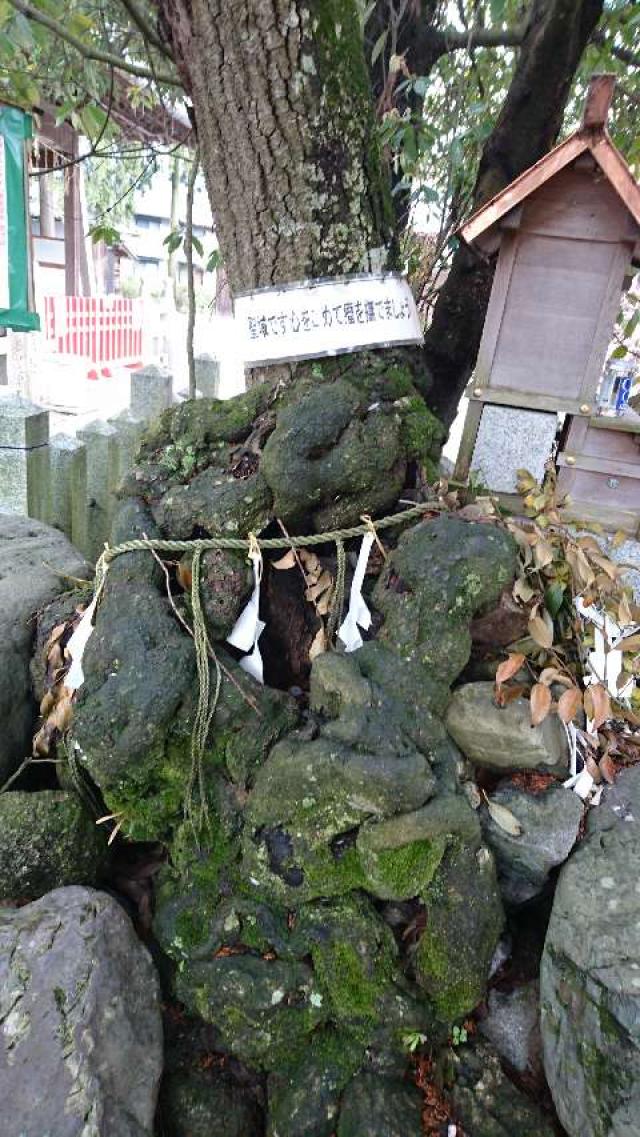 京都府亀岡市稗田野町佐伯垣内亦 稗田野神社の写真3