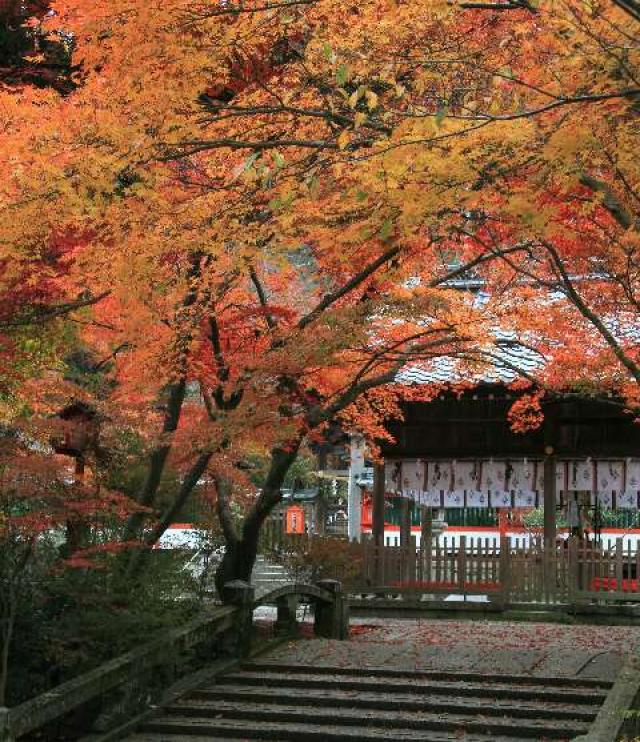 京都府亀岡市上矢田町上垣内２２−２ 鍬山神社 鍬山宮の写真3