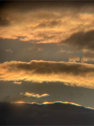 本居宣長ノ宮の参拝記録(恭子さん)